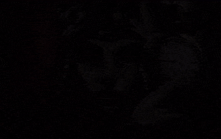 Jjba Steelballrun GIF