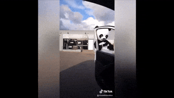 NewbieAndMe GIF