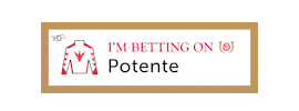 Horse Racing Sticker by Kentucky Derby