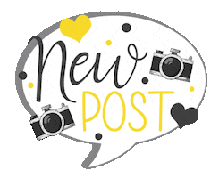 Elnaz Shokrollahi Photography Sticker