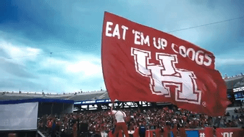 houston cougars go coogs GIF by Coogfans