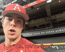 Arkansas Baseball Razorbacks GIF by Hogs+