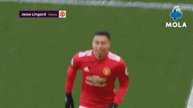 Premier League Love GIF by MolaTV