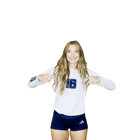 Regis University Volleyball Sticker