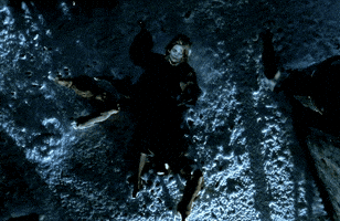 Tim Burton Cat GIF
