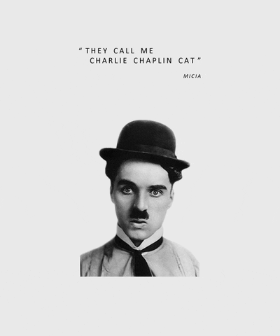 Charlie Chaplin Cat GIF