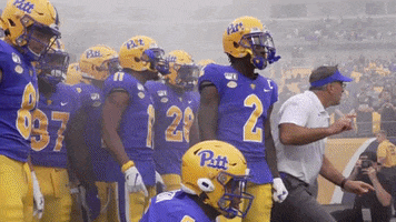 Lets Go GIF by Pitt Panthers