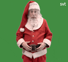 Santa Claus Fun GIF by SVT