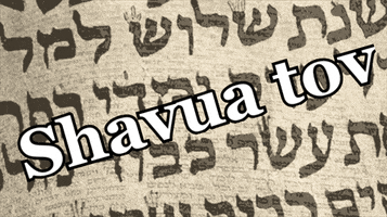 Shavua Tov GIF