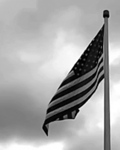 desireedynamite home usa flag united states GIF