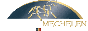 Horses Fei Sticker by Jumping Mechelen