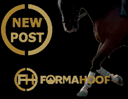 FormaHoofLtd horse pony farrier hoofcare GIF