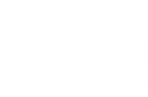 Fish Fishing Sticker by Positively Groundfish