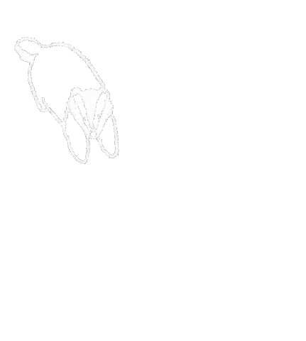 Animation Motif Sticker