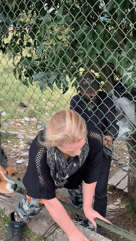 Dog Rescue GIF by Sophie Gamand