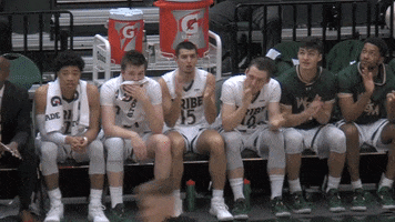 Clapping Bench GIF by William & Mary Tribe Athletics