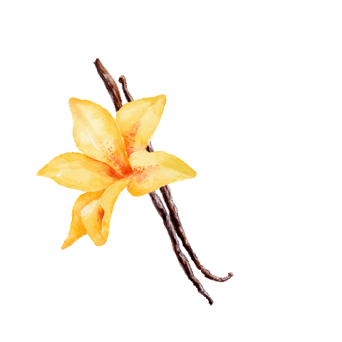 Yogurt Greekyogurt Sticker by Lamington Co