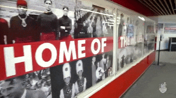 Mural Mules GIF by University of Central Missouri