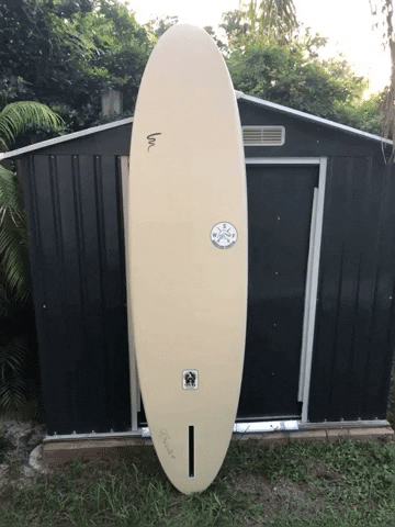 Warriorsurf GIF