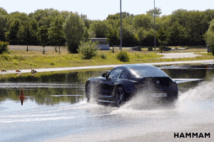 Hammamdrift GIF