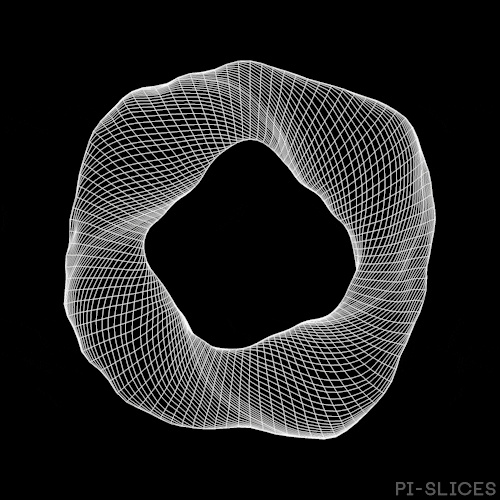 Black And White Loop GIF by Pi-Slices