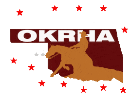 Oklahoma Reining Sticker