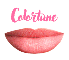 Pmu Permanentmakeup Sticker by iColor