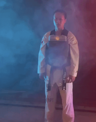 Martial Arts Smoke GIF by 2020 Armor