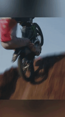 Backflip Wow GIF by X Games 