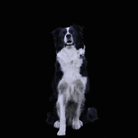 200.gif