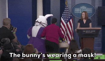 Easter Bunny GIF by GIPHY News