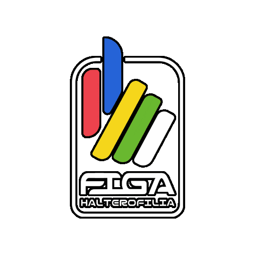 FIGA CrossFit Sticker