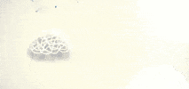 UpdateYourLife GIF