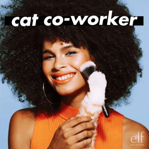 Co-Worker Cat GIF by e.l.f. Cosmetics
