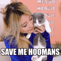 Save Get Me Out Of Here GIF by Wengie