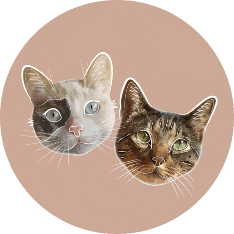 Cats Sticker