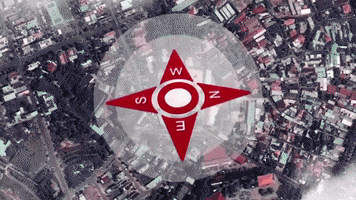 Duancompassone GIF
