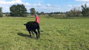 Fun Running GIF by Mercy For Animals