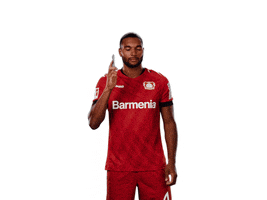 Bayer 04 Call GIF by Bayer 04 Leverkusen