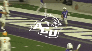 Go Wildcats GIF by ACU Football