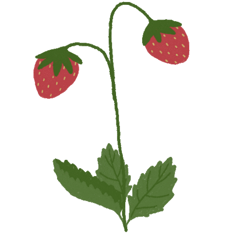 Plant Sticker
