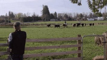 nathan parsons love GIF by Hallmark Channel