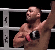 Mma Fighter GIF