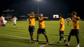 Soccer Win GIF by Georgia Southwestern State University
