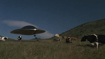200.gif?cid=fc005b08203abe16aed144bdf8d0d13548167771050feeb5&rid=200.gif&ct=g