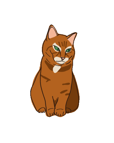 Suspicious Cat Sticker