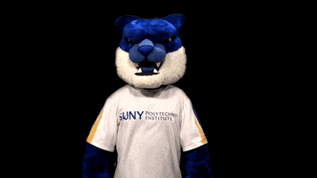 Game Cat GIF by SUNY Polytechnic Institute