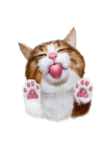 Cat Sticker