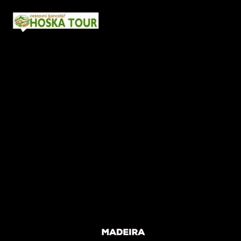 Portugal Madeira GIF by CK HOŠKA TOUR