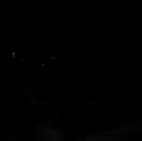 White GIF